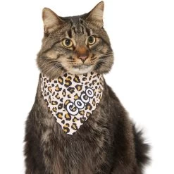 Frisco Leopard Print Personalized Dog & Cat Bandana 17 Frisco Leopard Print Personalized Dog & Cat Bandana -Cat Products Store 267543 PT8. AC SS1800 V1623164342