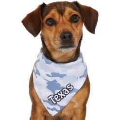 Frisco Gray Camo Personalized Dog & Cat Bandana -Cat Products Store 267571 PT7. AC SS1800 V1623164679