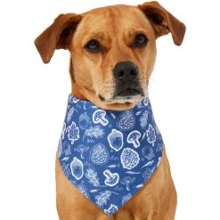 Frisco Fall Vibes Dog & Cat Bandana -Cat Products Store 267913 PT2. AC SS1800 V1637722647