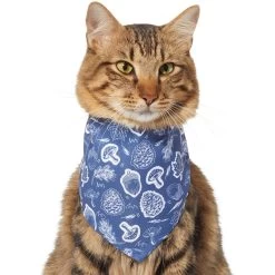 Frisco Fall Vibes Dog & Cat Bandana -Cat Products Store 267913 PT3. AC SS1800 V1637729806