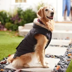 Frisco Mid-Heavyweight Cinching Insulated Dog & Cat Parka, Black/Red Plaid -Cat Products Store 268382 PT8. AC SS1800 V1629762008