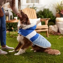 Frisco Heavyweight Chevron Insulated Dog & Cat Parka With Pocket -Cat Products Store 268405 PT8. AC SS1800 V1629766395