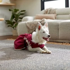 Frisco Plum Dog & Cat Dress -Cat Products Store 268677 PT5. AC SS1800 V1637675815