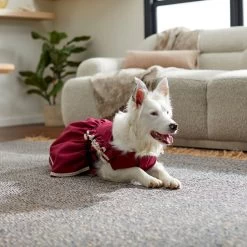 Frisco Plum Dog & Cat Dress -Cat Products Store 268677 PT8. AC SS1800 V1629766023