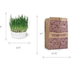 SmartyKat Sweet Greens & Catnip Caves Cat Toy With Catnip -Cat Products Store 269247 PT1. AC SS1800 V1639008149