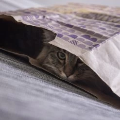 SmartyKat Sweet Greens & Catnip Caves Cat Toy With Catnip -Cat Products Store 269247 PT4. AC SS1800 V1639012944