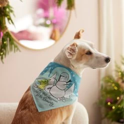 STAR WARS THE MANDALORIAN GROGU "Tis The Season" Dog & Cat Bandana -Cat Products Store 270539 PT8. AC SS1800 V1631664152