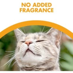 Feline Pine Platinum Natural Pine Cat Litter 15 Feline Pine Platinum Natural Pine Cat Litter -Cat Products Store 272685 PT4. AC SS1800 V1663798048