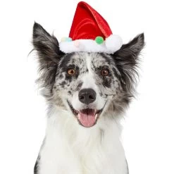 Frisco Holiday Poms Dog & Cat Santa Hat 9 Frisco Holiday Poms Dog & Cat Santa Hat -Cat Products Store 276194 PT2. AC SS1800 V1631303507