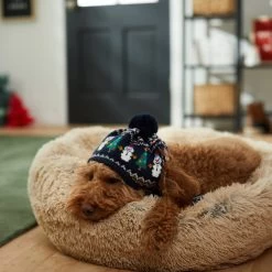 Frisco Jolly Snowman Dog & Cat Knitted Hat -Cat Products Store 276303 PT8. AC SS1800 V1631300384