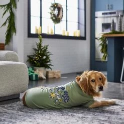 Frisco Joyful Hygge-Inspired Dog & Cat T-shirt -Cat Products Store 276488 PT5. AC SS1800 V1637666798