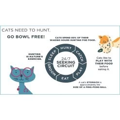 Doc & Phoebe's Cat Co. The Hunting Snacker Interactive Cat Treat Toy, Blue -Cat Products Store 279341 PT5. AC SS1800 V1617400689