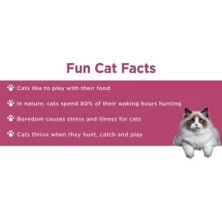 Doc & Phoebe's Cat Co. The Hunting Snacker Interactive Cat Treat Toy, Blue -Cat Products Store 279341 PT8. AC SS1800 V1617399710