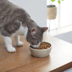 STAR WARS Tie Fighter No-Skid Ceramic Cat Bowl -Cat Products Store 280654 PT3. AC SS1800 V1629986947