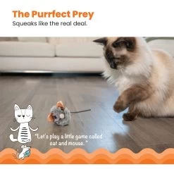 Catstages Squeak Squeak Mouse Cat Toy 8 Catstages Squeak Squeak Mouse Cat Toy -Cat Products Store 282263 PT1. AC SS1800 V1636506120