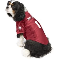 Littlearth NCAA Stretch Dog & Cat Jersey, Alabama Crimson Tide -Cat Products Store 283994 PT2. AC SS1800 V1619409451