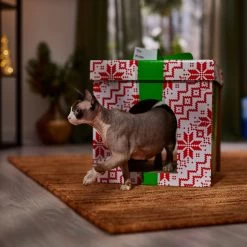Frisco Holiday Gift Box Cardboard Cat House -Cat Products Store 287291 PT4. AC SS1800 V1695045716