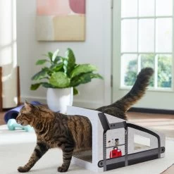 Frisco Treadmill Cardboard Cat House -Cat Products Store 288967 PT3. AC SS1800 V1638288289