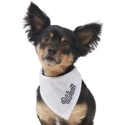 Disney Mickey Mouse Streetwear Personalized Dog & Cat Bandana 16 Disney Mickey Mouse Streetwear Personalized Dog & Cat Bandana -Cat Products Store 290174 PT6. AC SS1800 V1625154471