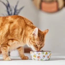 Disney Princesses Non-Skid Ceramic Cat Bowl -Cat Products Store 291395 PT3. AC SS1800 V1633979293