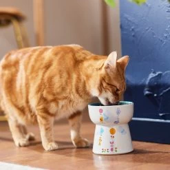 Disney Winnie The Pooh Tall Shape Non-Skid Elevated Ceramic Cat Bowl -Cat Products Store 291407 PT3. AC SS1800 V1633979783