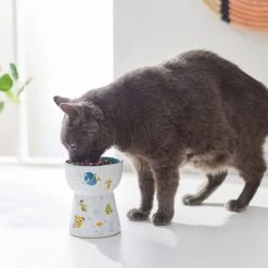 Pixar Finding Nemo Tall Shape Non-Skid Elevated Ceramic Cat Bowl -Cat Products Store 291430 PT3. AC SS1800 V1633978366