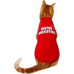 Frisco Mister Irresistible Dog & Cat T-Shirt -Cat Products Store 292026 PT2. AC SS1800 V1637268745