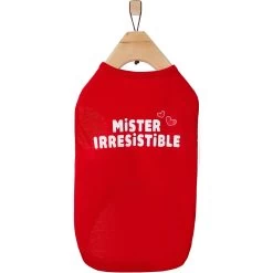 Frisco Mister Irresistible Dog & Cat T-Shirt -Cat Products Store 292026 PT4. AC SS1800 V1637267791