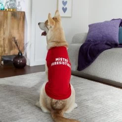 Frisco Mister Irresistible Dog & Cat T-Shirt -Cat Products Store 292026 PT6. AC SS1800 V1701797008