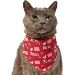 Frisco Love Letters Dog & Cat Bandana -Cat Products Store 292051 PT2. AC SS1800 V1637269050