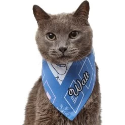Disney Frozen's Olaf Diamond Pattern Personalized Dog & Cat Bandana -Cat Products Store 294289 PT7. AC SS1800 V1625153556