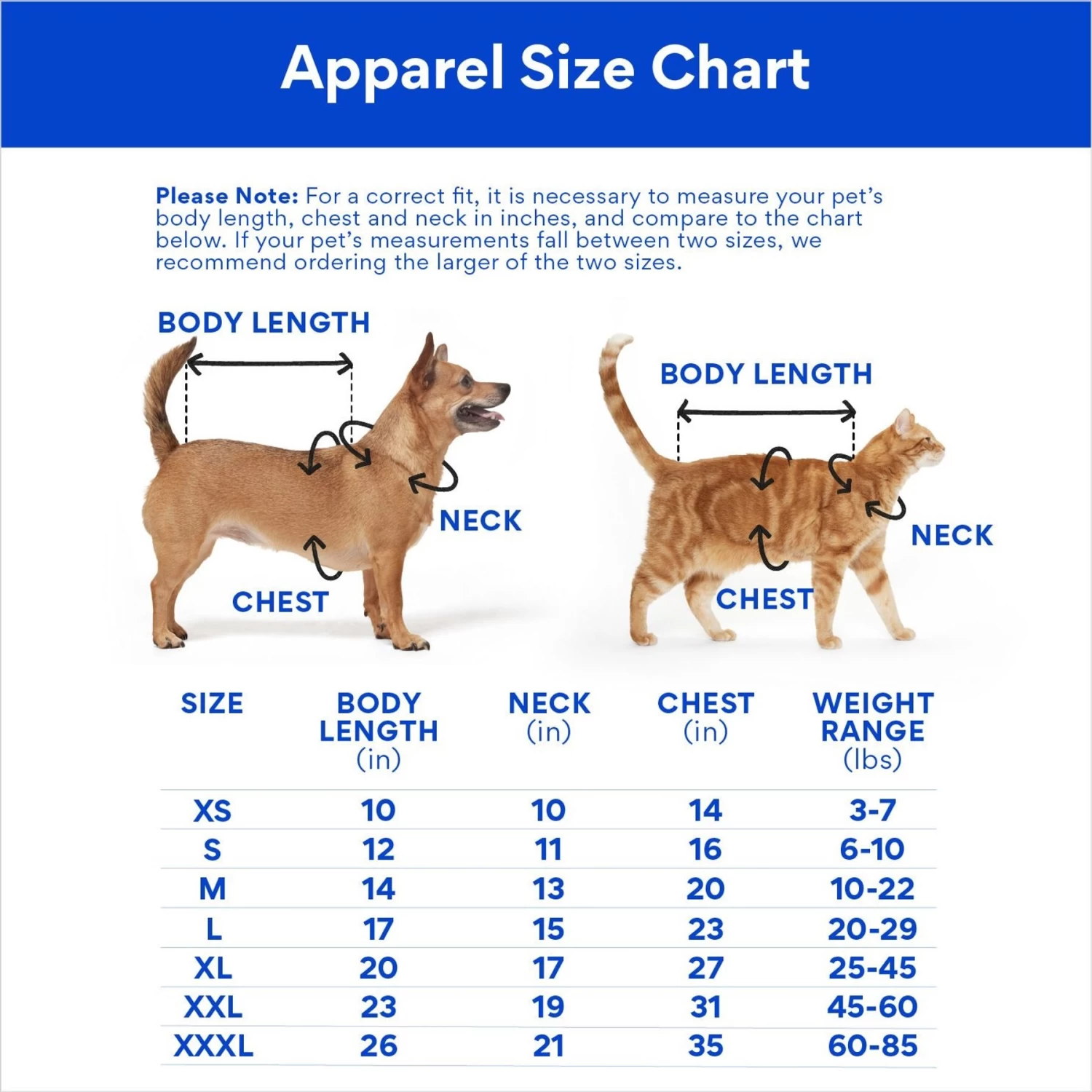 STAR WARS DEATH STAR Easter Basket Dog & Cat T-Shirt 4 STAR WARS DEATH STAR Easter Basket Dog & Cat T-Shirt - Image 2