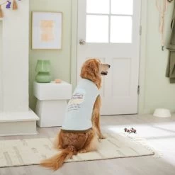 STAR WARS DEATH STAR Easter Basket Dog & Cat T-Shirt 13 STAR WARS DEATH STAR Easter Basket Dog & Cat T-Shirt -Cat Products Store 297556 PT5. AC SS1800 V1640712906