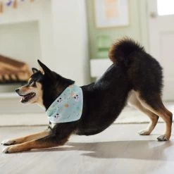 STAR WARS STORMTROOPER Easter Bunnies Dog & Cat Bandana -Cat Products Store 297564 PT5. AC SS1800 V1640712773