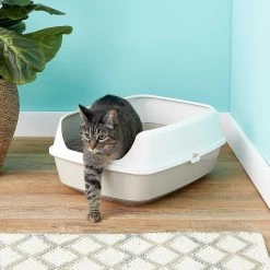 Frisco Decorative Side Table Cat Litter Box Cover & Frisco Open Top Cat Litter Box With Rim, Large -Cat Products Store 297992 PT6. AC SS1800 V1621299762
