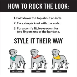 Frisco Fair Isle Personalized Dog & Cat Bandana 12 Frisco Fair Isle Personalized Dog & Cat Bandana -Cat Products Store 301357 PT2. AC SS1800 V1623274656