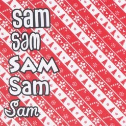 Frisco Fair Isle Personalized Dog & Cat Bandana 14 Frisco Fair Isle Personalized Dog & Cat Bandana -Cat Products Store 301357 PT4. AC SS1800 V1627654637