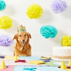 Frisco Happy Birthday Dog & Cat Crown & Frisco It's My Birthday & Cat T-Shirt -Cat Products Store 302470 PT3. AC SS1800 V1623073946