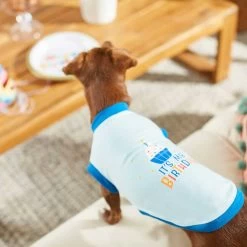 Frisco Happy Birthday Dog & Cat Crown & Frisco It's My Birthday & Cat T-Shirt -Cat Products Store 302470 PT7. AC SS1800 V1623037657