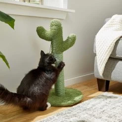 Frisco Novelty Unicorn Covered Cat & Dog Bed & Frisco Cactus Cat Scratching Post -Cat Products Store 303496 PT7. AC SS1800 V1623062246