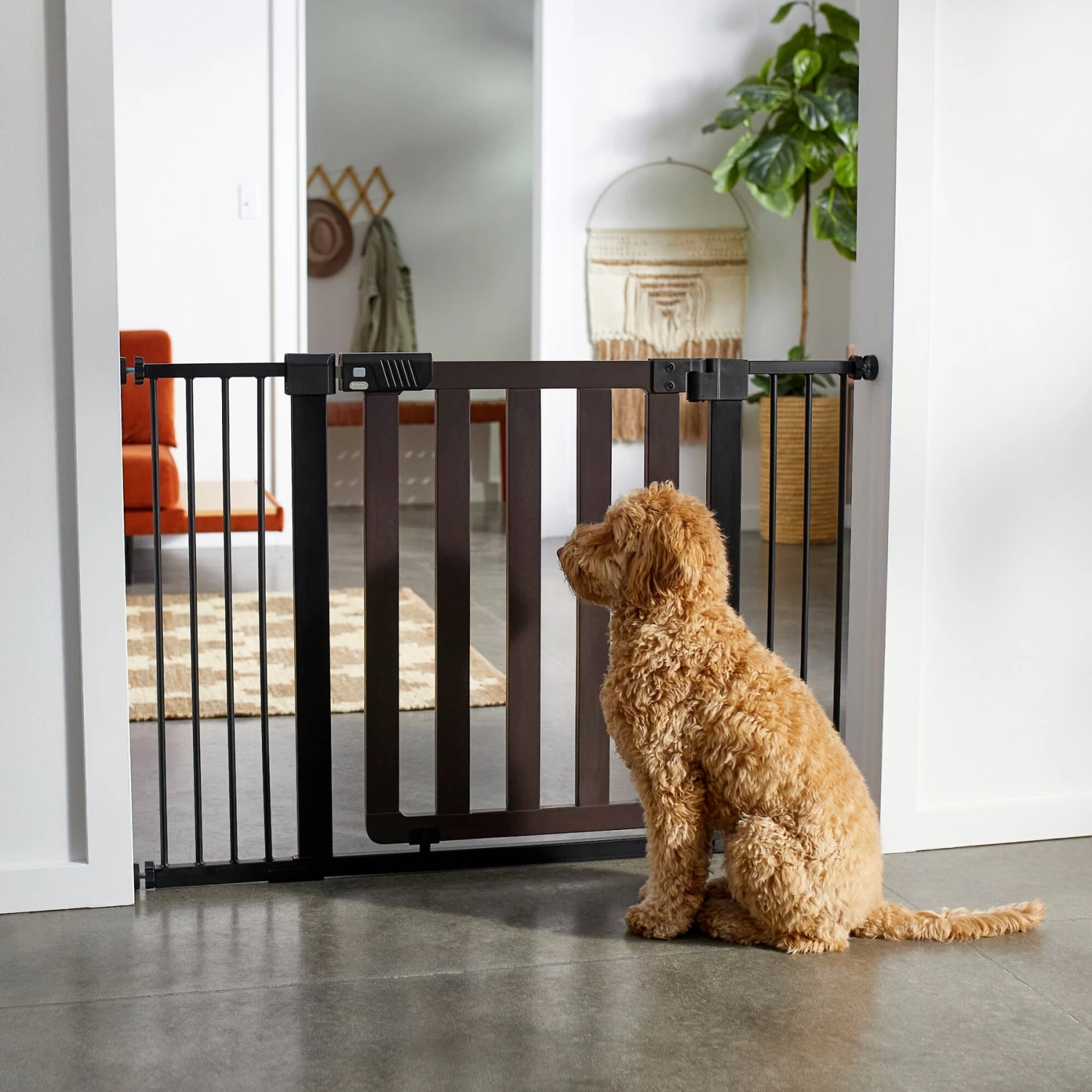 Frisco Wood & Metal Extra Wide Auto-close Dog Gate 3 Frisco Wood & Metal Extra Wide Auto-close Dog Gate