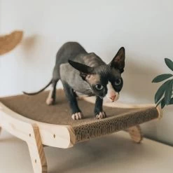 Mau Lifestyle Cardboard Cat Scratcher -Cat Products Store 308909 PT1. AC SS1800 V1635199885