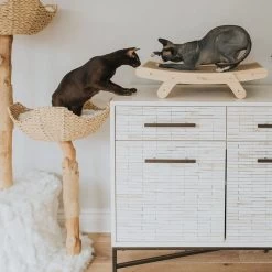 Mau Lifestyle Cardboard Cat Scratcher -Cat Products Store 308909 PT3. AC SS1800 V1635198754