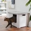 Frisco Multi-Function Covered Cat Litter Box, Jumbo -Cat Products Store 309855 MAIN. AC SS1800 V1631817414