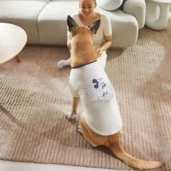 Disney Vintage Mickey Mouse Dog & Cat T-shirt -Cat Products Store 311782 PT8. AC SS1800 V1643329468