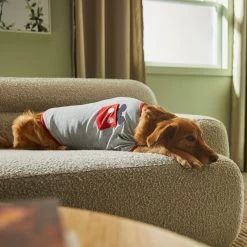 Disney Mickey Mouse Pocket Dog & Cat T-shirt -Cat Products Store 311790 PT8. AC SS1800 V1643324287