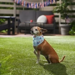 Disney Mickey Mouse Americana Nautical Dog & Cat Bandana 15 Disney Mickey Mouse Americana Nautical Dog & Cat Bandana -Cat Products Store 311830 PT8. AC SS1800 V1643330378