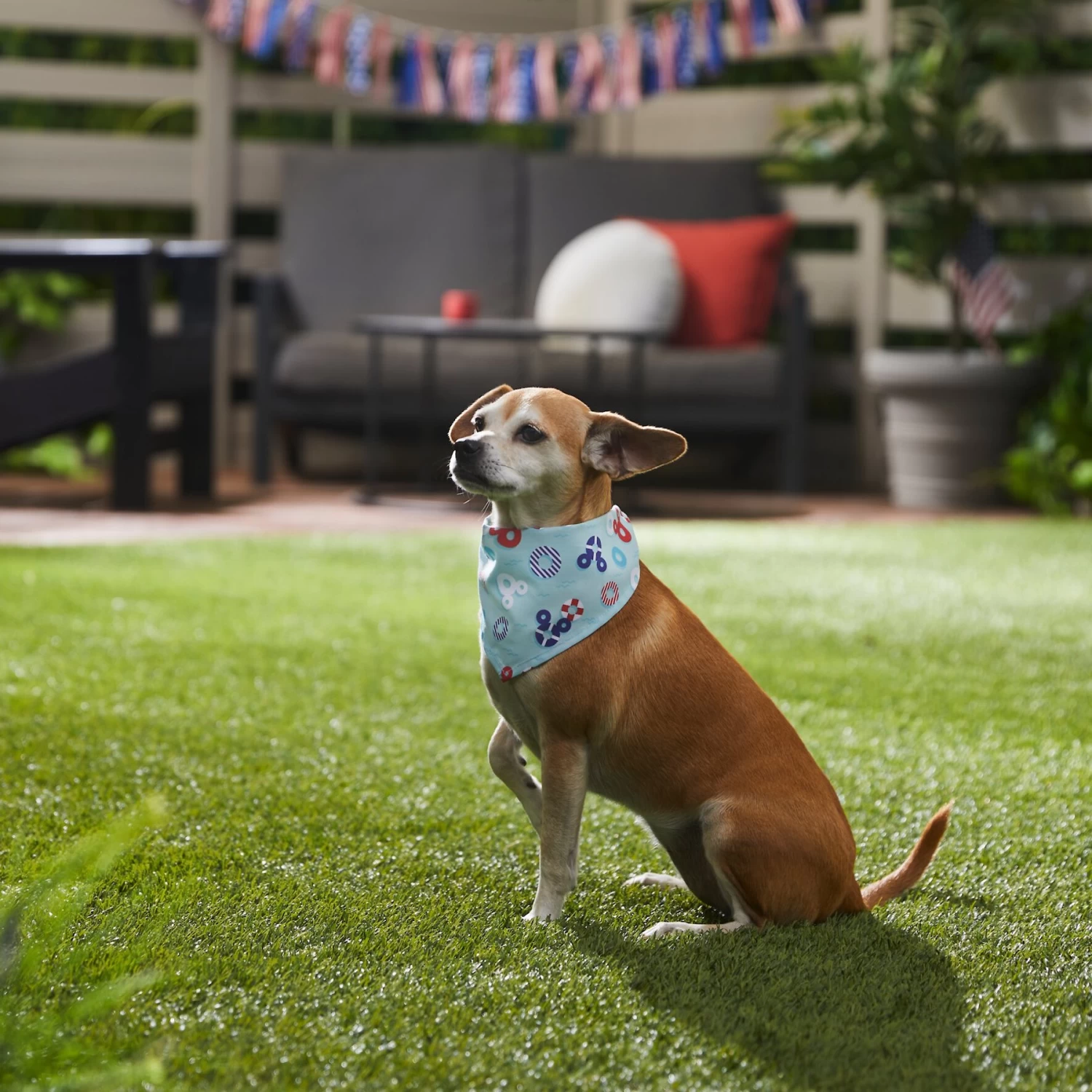 Disney Mickey Mouse Americana Nautical Dog & Cat Bandana 9 Disney Mickey Mouse Americana Nautical Dog & Cat Bandana - Image 7