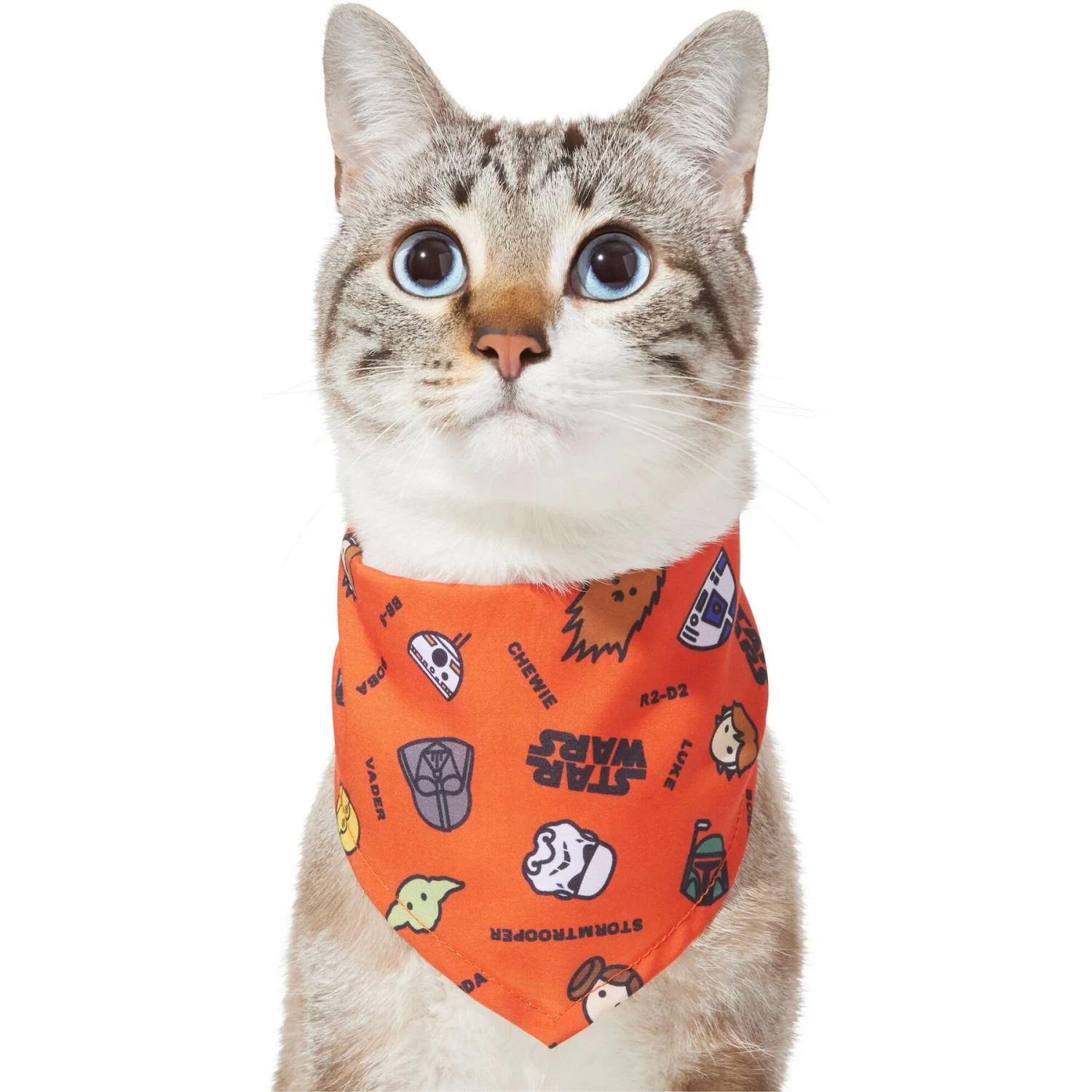 STAR WARS Pictogram Dog & Cat Bandana 5 STAR WARS Pictogram Dog & Cat Bandana - Image 3