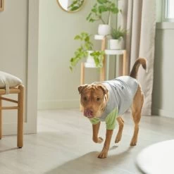 STAR WARS THE MANDALORIAN GROGU "Doesn't Listen" Dog & Cat Raglan T-shirt -Cat Products Store 311884 PT8. AC SS1800 V1643325840